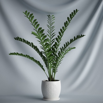 3D Графика 3D Коллекция растений CGAXIS