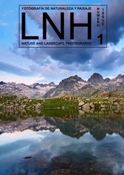 LNH Issue 1 (2011)