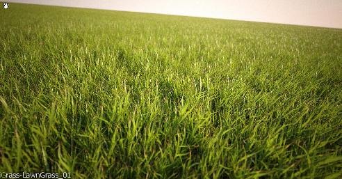 3D Графика 3D Модели.Трава.