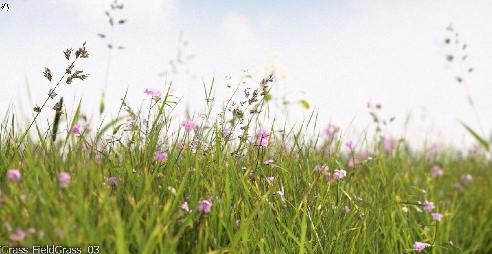 3D Графика 3D Модели.Трава.