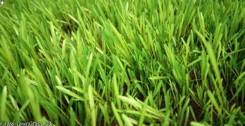 3D Графика 3D Модели.Трава.