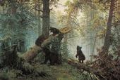 Книги и Журналы Биография и коллекция работ художника: Иван Шишкин (1832-1898) PDF, DjVu, JPEG, TIF