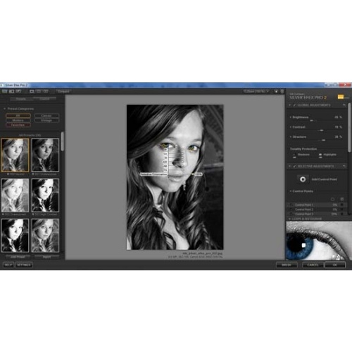Photoshop Nik Software Silver Efex Pro 2.002 for Adobe Photoshop + русификатор