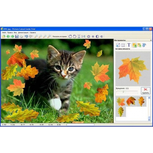 Программы Tint Guide Picture Cutout Guide 2.6 Eng / Rus