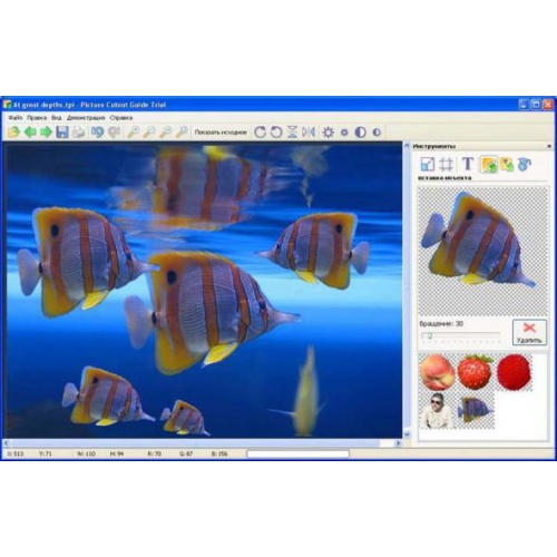 Программы Tint Guide Picture Cutout Guide 2.6 Eng / Rus
