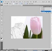 Уроки Экспресс видеокурс по обработке фотографий в Adobe Photoshop