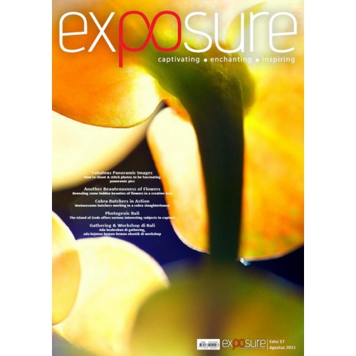 Exposure #37 (August 2011)