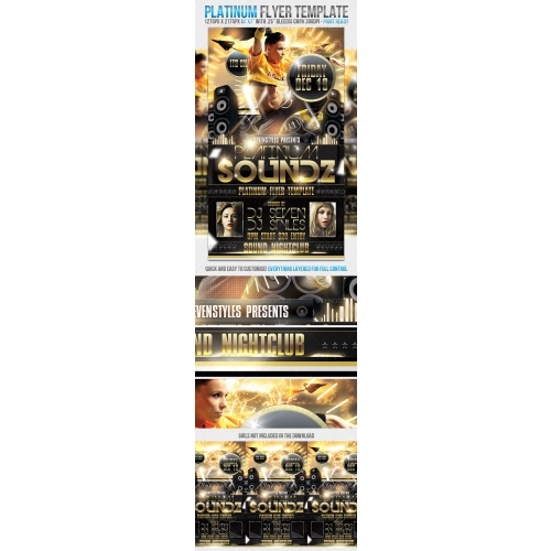 GraphicRiver — Platinum Flyer Template