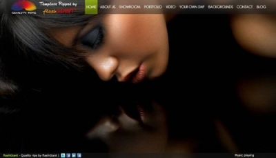 Liquid 2 - AS3 XML Flash Template