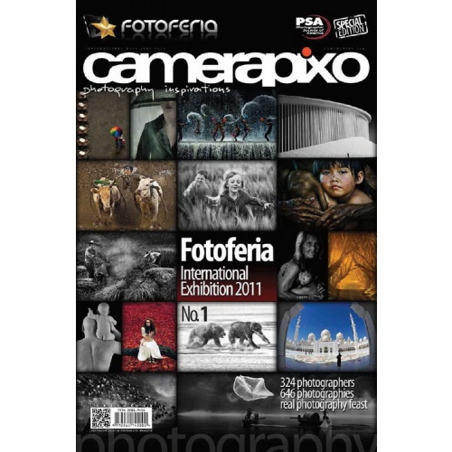 Camerapixo No.11 (2011)