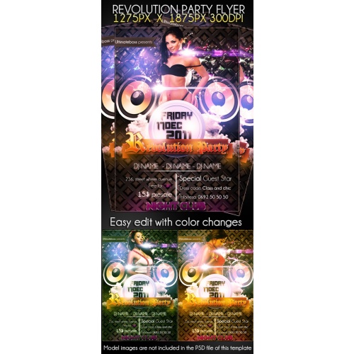 Revolution Party Flyer