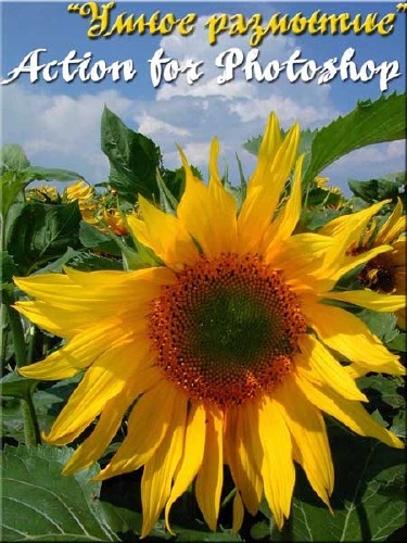 Макрос для Adobe Photoshop - Умное размытие