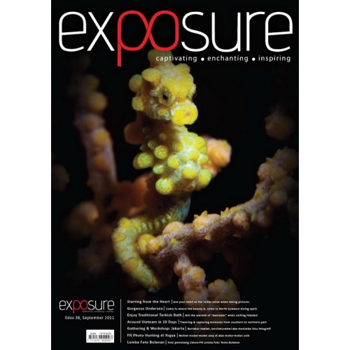 Exposure #38 (September 2011)