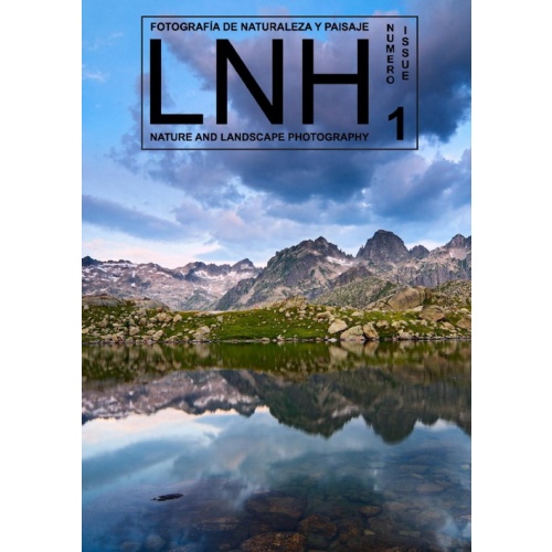 LNH Issue 1 (2011)