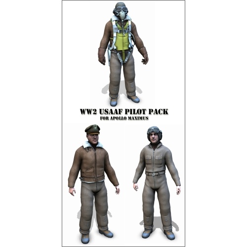 WW2 USAAF pilot pack