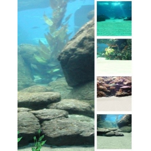 The Aquarium