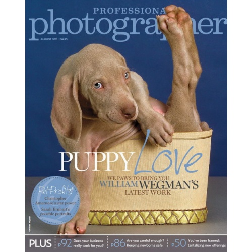 Professional Photographer (August 2011) US