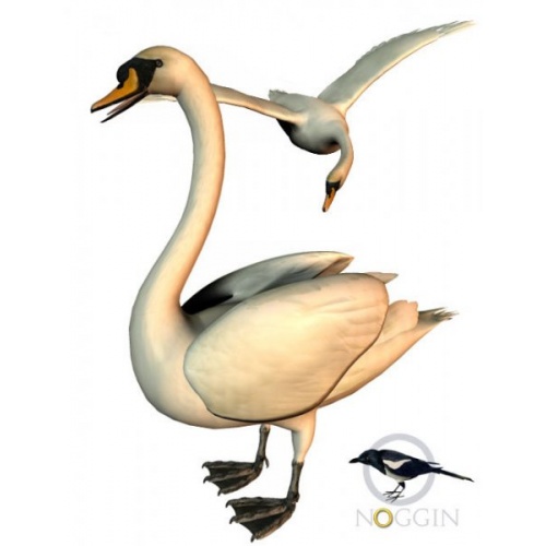Noggins Poser Swan