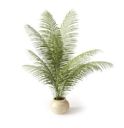 3D Модели.Высоко детализированных моделей комнатных растений.