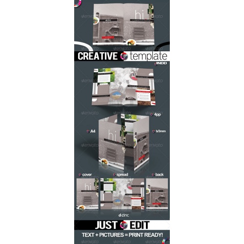 GraphicRiver - Creative Template Pro v1 / InDesign A4 4pp