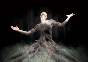 Превращаем человека в дерево с помощью Photoshop